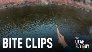 Utah Fly Fishing - Tenkara on the bite - Bite Clip - The Utah Fly Guys
