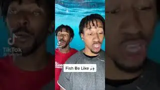 Fish be like...🐠🤣