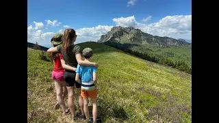 Osnica
