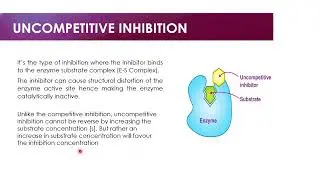 Effect of Activators and Inhibitors on Enzyme Acti
