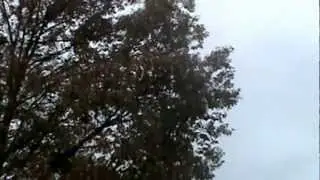 Westchester Co. Police Department Air Unit 2 In Buchanan NY. Part 5