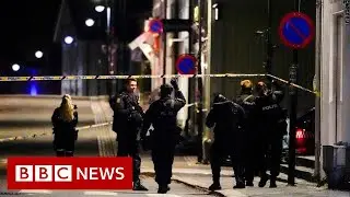 Norway bow and arrow suspected killer known to police, and feared radicalised - BBC News