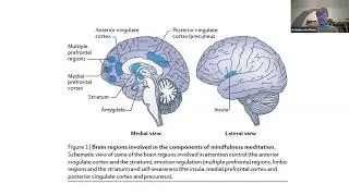 Meditation, Buddhist Psychology and the Regulation of the Mind-brain