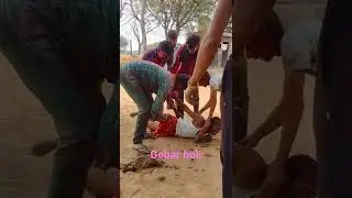 GOBAR HOLI