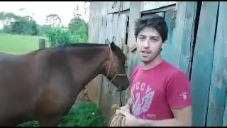 Como faz para ver se a &eacute;gua tem cria sem a ajuda de veterin&aacute;rio!!!