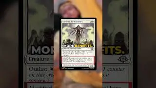 Mikey & Leo, Chaos & Order | New Commanders