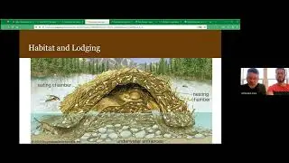 Kishwaukee River Ecosystem Partnership (KREP) May 2023 Meeting: Effective Beaver Management