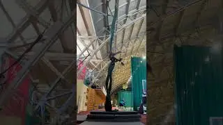 #aerial #aerialacrobatics #gym #circus #shortvideo #acro #dance #sports