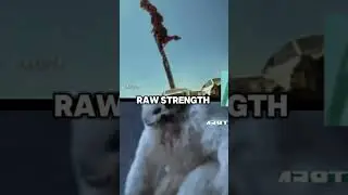 Drift Vs wampa round 8 of the colossal tournament