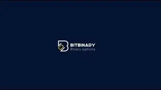 Bitbinary-Earn up to 0.3-3% per day with our Binary bots