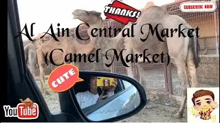 ROAD-TRIP TO CAMEL MARKET || AL AIN CENTRAL MARKET || Layas Vlog || Chuboboi