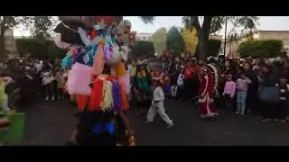 Toro el Culturalito en plaza de armas 2