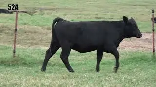 52A