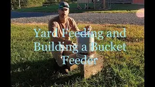 Yard Feeding and Building a Bucket Feeder