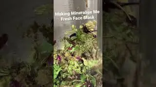 Mineralise Me face mask for Lush Poole Harbour Fresh box , with vitamin packed seaweed #lush #fresh