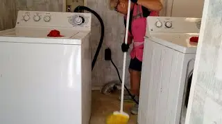 Move out Cleaning and how to steam clean your house