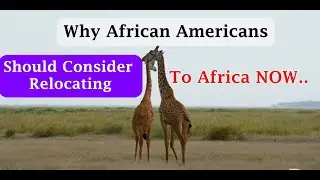 Why African Americans Should Consider Relocating to Africa Now