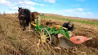 ПРОБЛЕМЫ С ВСПАХИВАНИЕМ! // Тяжеловозные лошади пашут наше кукурузное поле #555