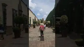 Walking Through Tequila, Jalisco: Discover the Heart of Mexico's Agave Country