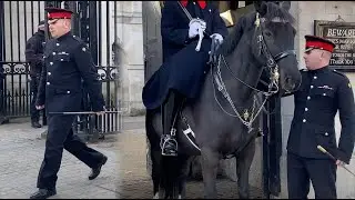 THIS DOESN'T HAPPEN VERY OFTEN!! HANDSOME Corporal of Horse IN CHARGE of 