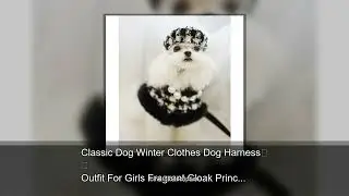 Classic Dog Winter Clothes Dog Harness Outfit For Girls Fragrant Cloak Princess Puppy Cats Ches