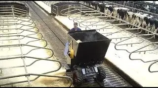 Instrooimachine ligboxen / Einstreuger&auml;t viehhaltung - Streumaschine / Spreadingmachine cattle