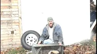 Colorado Skunk Removal and Trapping
