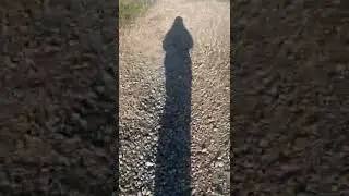 WALKING SHADOW SATISFYING FOOTSTEPS SOUNDS #shorts #asmrsounds #asmr