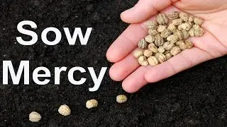 Sow Mercy - Demo - Always Glorify God
