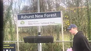 Ashurst New Forest
