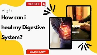How can i heal my Digestive System? #digestivesystem #digestion #digestiveproblems