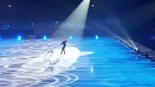 Ледовое шоу в Рязани 07.02.2020. Татьяна Тотьмянина и Максим Маринин