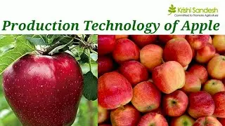 Production Technology of Apple by Piyush Mahajan #FRTS 221