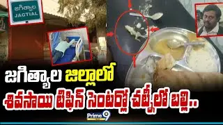 జగిత్యాల జిల్లాలో  శివసాయి టిఫిన్ సెంటర్లో చట్నీలో బల్లి.. Lizard found in chutney.. | Prime9 News