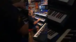 Green green grass of Home orrel cover by Willem swart