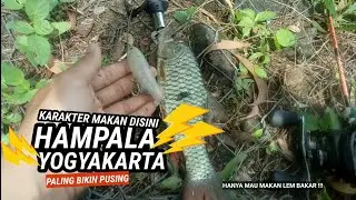 🔴 CASTING HAMPALA DI YOGYAKARTA BEGINI TRIKNYA  !!! BEDA KOTA BEDA CARA STRIKE HAMPALA BABON
