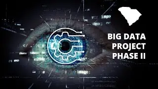 SC Working Age Blindness and Low Vision Big Data Project Report &ndash; Phase II