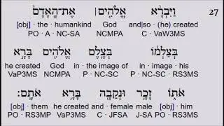 Genesis 1 27 in Hebrew