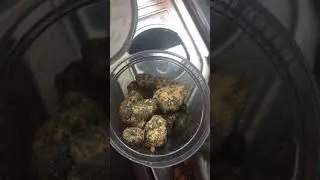 WORLDS STRONGEST WEED FREE SAMPLE MOONROCKS REAL KORRUPT