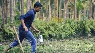 Hand fishing amazing boy giant catching big catfish by hand | Natural beautiful place |