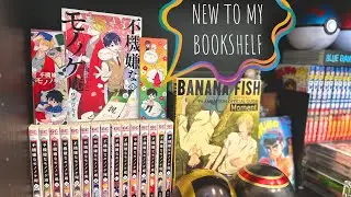 Fukigen na Mononokean | ALL 20 VOLUMES + SHELF REORGANIZATION