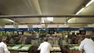 Ovoproduits, des oeufs sous toutes les formes
