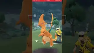 staraptor sacrifice BUT WE GOT THE WIN #pokemongo #gbl