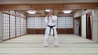 Practice:Chiishi Jochuge Sanchin Gekisai 1,2 Shusinokon Sakugawanokon Tensho 