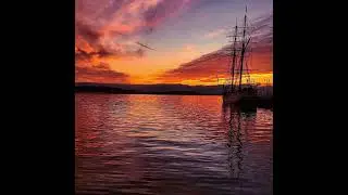 Sounds of harbor #asmr #viral #viralvideo #explore #explorepage 