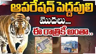 LIVE: High Alert In Rajahmundry | Tiger Spotted at Diwancheruvu |ఆపరేషన్ పెద్దపులిమొదలు... | ZEE