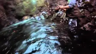 GOPR0266