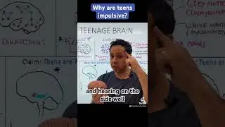 Why are teens impulsive? #biology #appsychology ##appsych #brain #teen