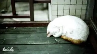 The Marphoi Project - Lazy Heart (Enzalla Remix)