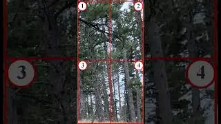 Camo Matrix! Where and what is the camo?